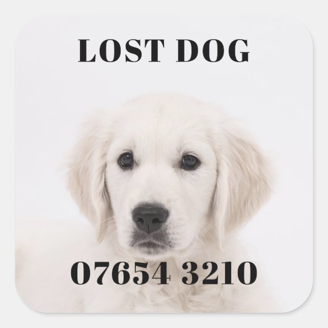 Lost dog square sticker (Front)