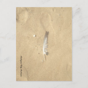 Lost Feather Postcard