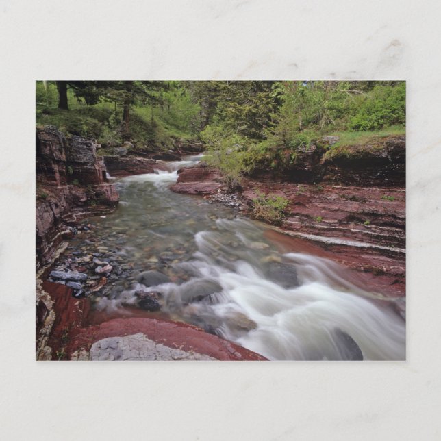 Lost Horse Creek in Waterton Lakes National Park Postcard (Front)