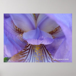 Lost in a Dream Poster