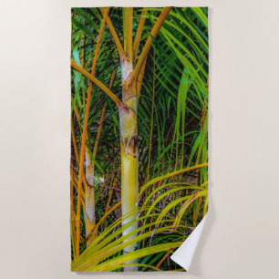 Lost in Areca Palms Beach Towel