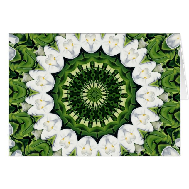 Lost In Paradise (Front Horizontal)