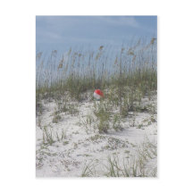 Lost in the Dunes