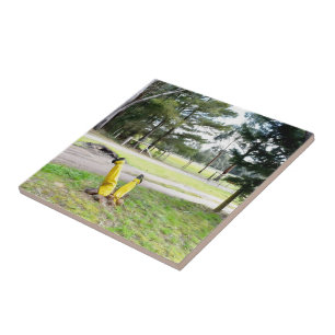 Lost in the Garden Again Ceramic Tile