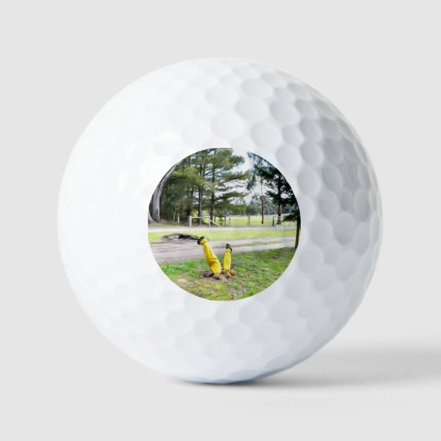 Lost in the Garden Again  Golf Balls (Front)
