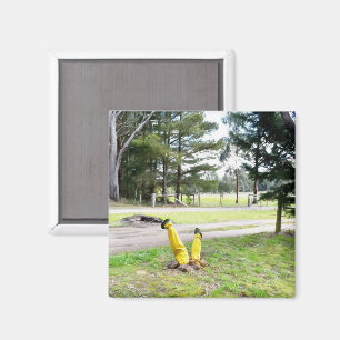 Lost in the Garden Again Magnet