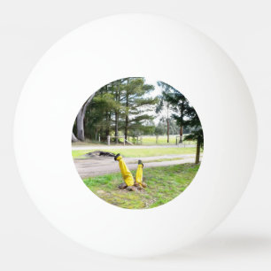 Lost in the Garden Again  Ping Pong Ball
