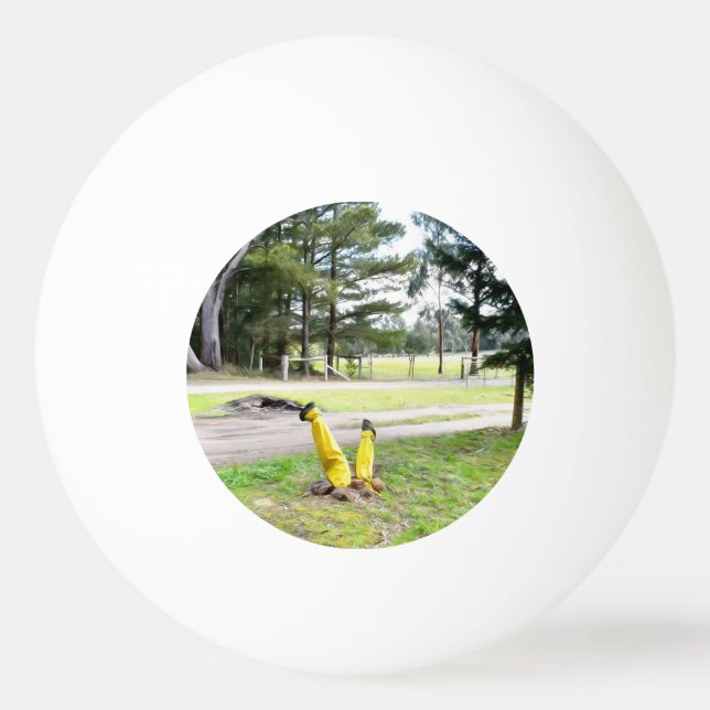 Lost in the Garden Again  Ping Pong Ball (Front)
