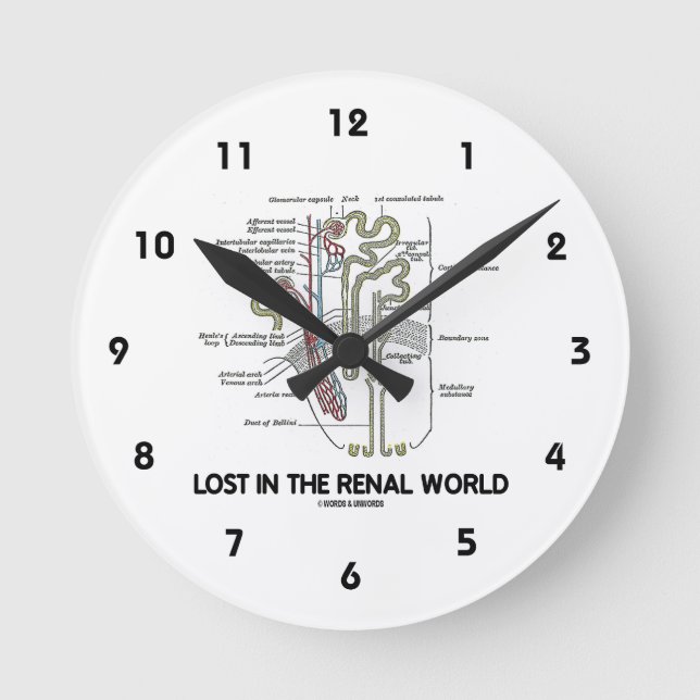 Lost In The Renal World (Kidney Nephron) Round Clock (Front)