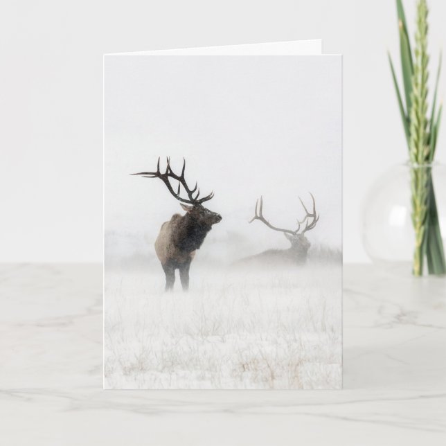 "Lost in the Storm" Holiday Card (Front)