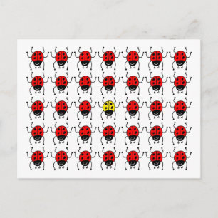 lost ladybug postcard