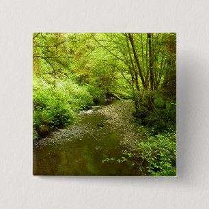 Lost Man Creek I at Redwood National Park 15 Cm Square Badge