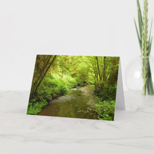 Lost Man Creek I at Redwood National Park Card