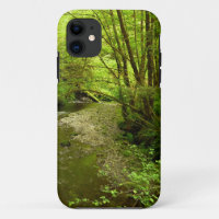 Lost Man Creek I at Redwood National Park