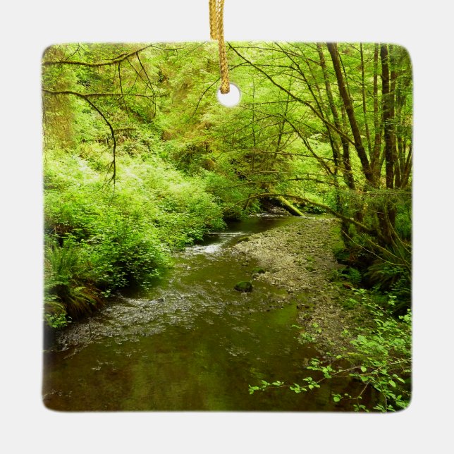 Lost Man Creek I at Redwood National Park Ceramic Ornament (Front)