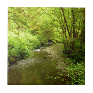 Lost Man Creek I at Redwood National Park Ceramic Tile