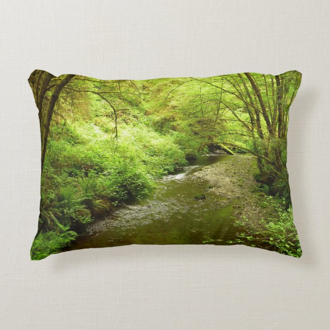 Lost Man Creek I at Redwood National Park Decorative Cushion (Front)