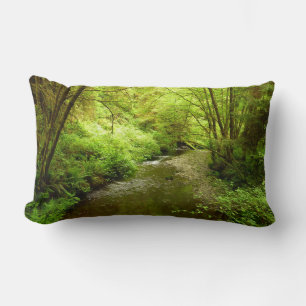 Lost Man Creek I at Redwood National Park Lumbar Cushion