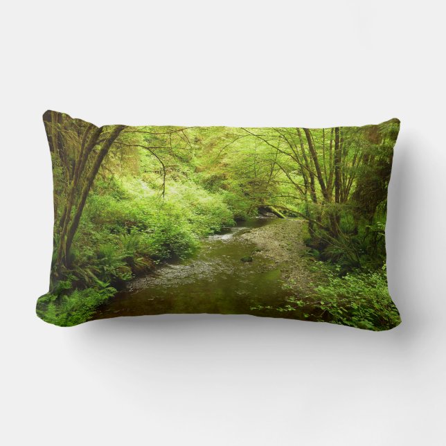 Lost Man Creek I at Redwood National Park Lumbar Cushion (Front)
