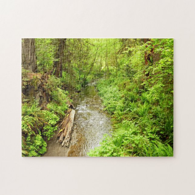 Lost Man Creek II at Redwood National Park Jigsaw Puzzle (Horizontal)