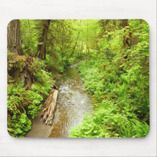 Lost Man Creek II at Redwood National Park Mouse Pad