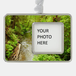 Lost Man Creek II at Redwood National Park Silver Plated Framed Ornament