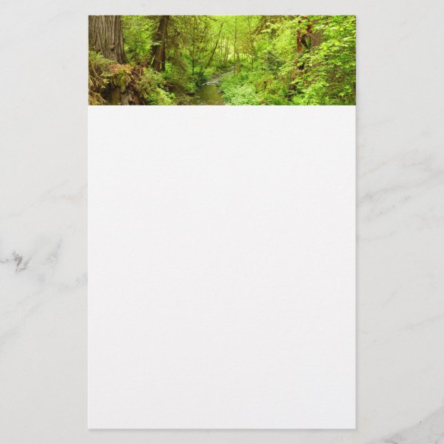 Lost Man Creek II at Redwood National Park Stationery (Front)