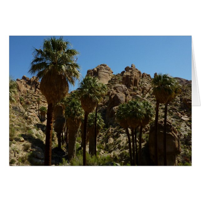 Lost Palms Oasis I at Joshua Tree National Park (Front Horizontal)