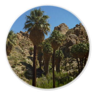 Lost Palms Oasis I at Joshua Tree National Park Ceramic Knob