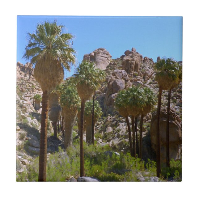 Lost Palms Oasis I at Joshua Tree National Park Ceramic Tile (Front)