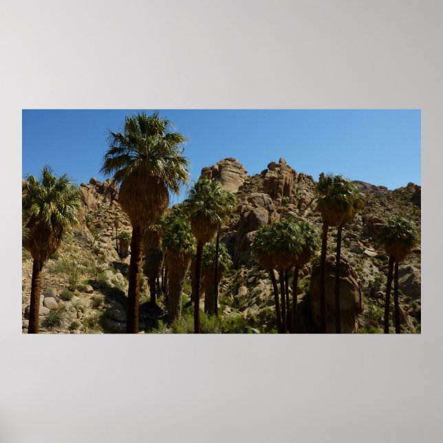 Lost Palms Oasis I at Joshua Tree National Park Poster (Front)