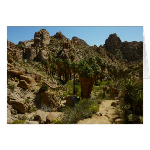 Lost Palms Oasis II at Joshua Tree National Park