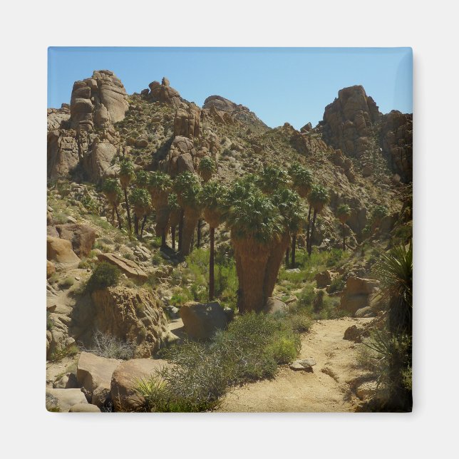 Lost Palms Oasis II at Joshua Tree National Park Magnet (Front)