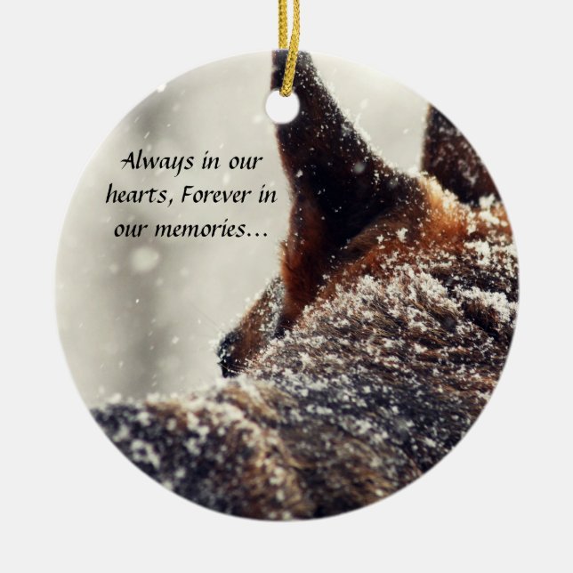 Lost Pet Ornament (Front)