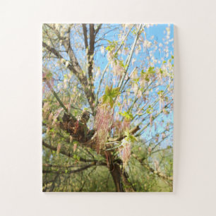 Lost Places , Meadowlands nature, Spring awakening Jigsaw Puzzle