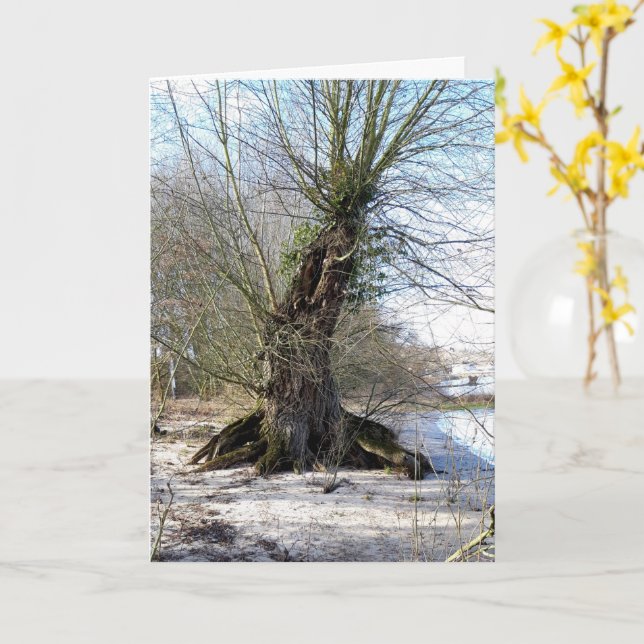 Lost Places , old Tree on the river bank Card (Yellow Flower)