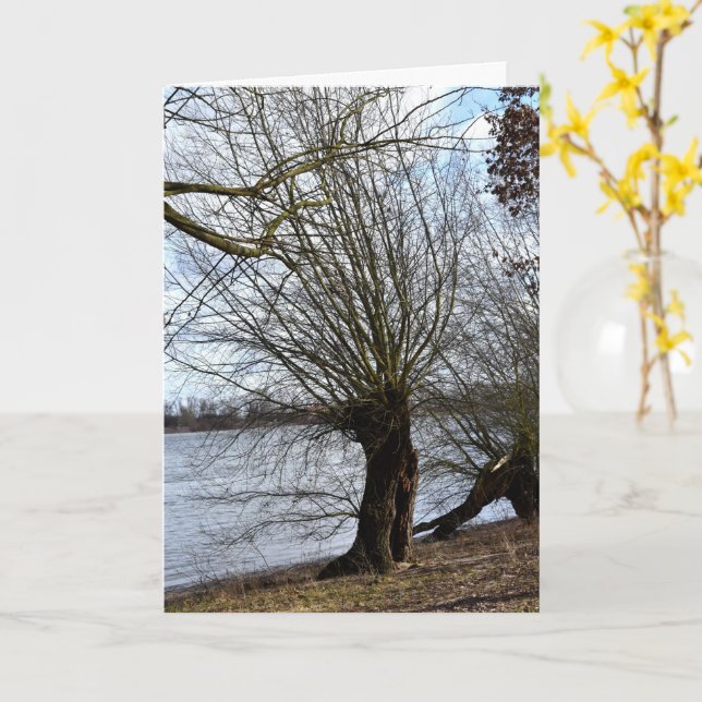 Lost Places , old Tree on the river bank Card (Yellow Flower)