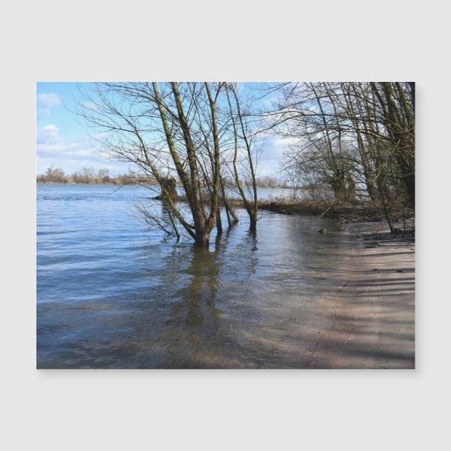 Lost Places , Trees on the river bank (Front)