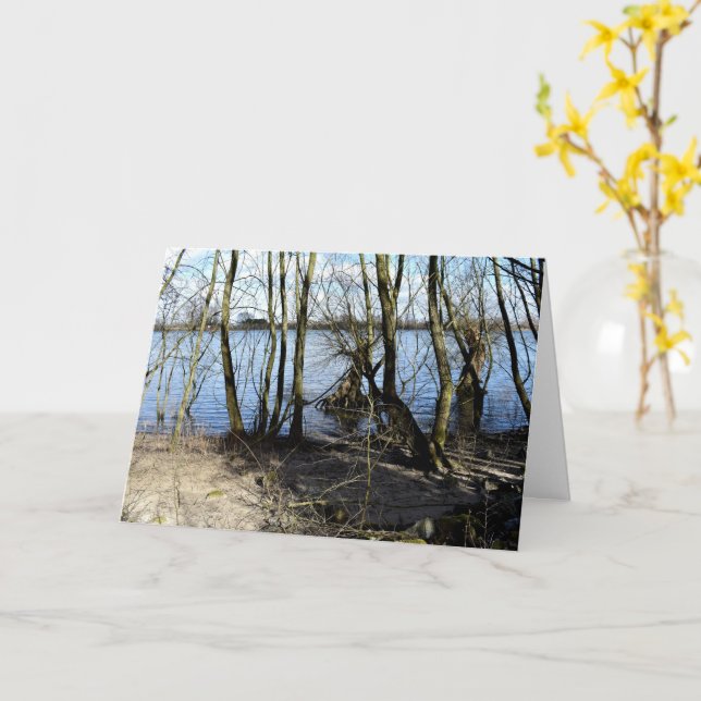 Lost Places , Trees on the river bank Card (Yellow Flower)