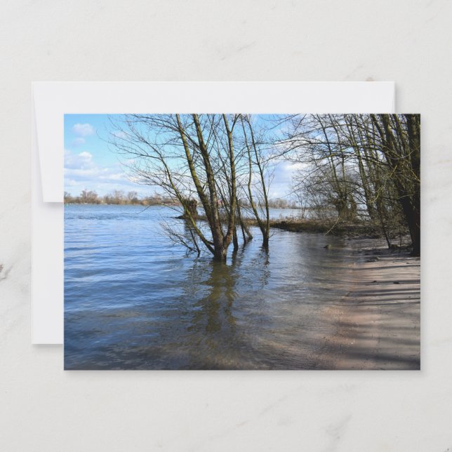 Lost Places , Trees on the river bank Card (Front)