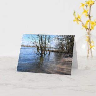 Lost Places , Trees on the river bank Card