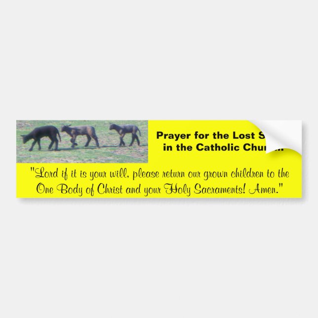 Lost Sheep Bumper Sticker and Prayer (Front)