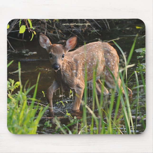 Lost Virginia Deer Fawn Baby Animal Wildlife Photo Mouse Pad (Front)