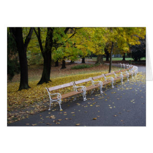 Lot Of Benches
