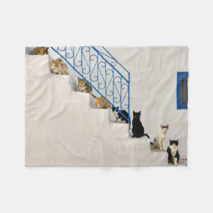 Lot of cats on a white stairway in a Greek village Fleece Blanket