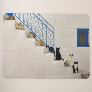 Lot of cats on a white stairway in a Greek village Sherpa Blanket