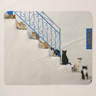 Lot of cats on a white stairway in a Greek village Sherpa Blanket