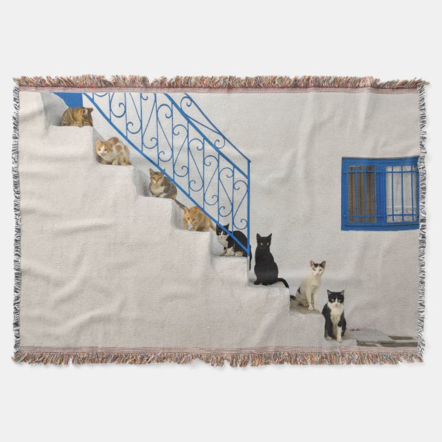 Lot of cats on a white stairway in a Greek village Throw Blanket (Front)