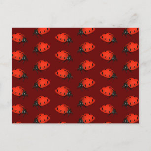 Lot Of Ladybugs Postcard