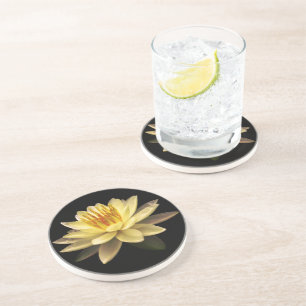 Lotos Coaster
